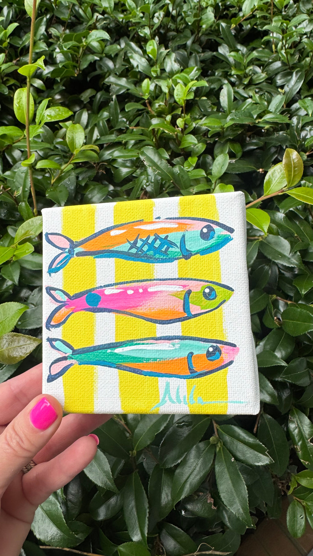 Original Mini Sardines