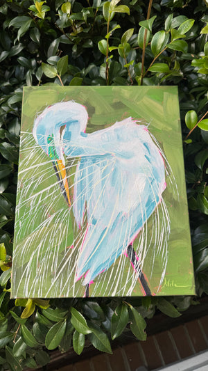 Lovely Wispy Egret