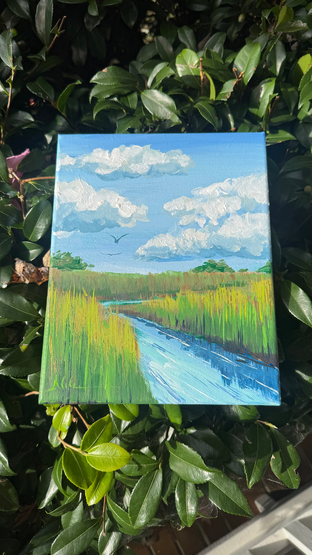 Original Marsh Landscape