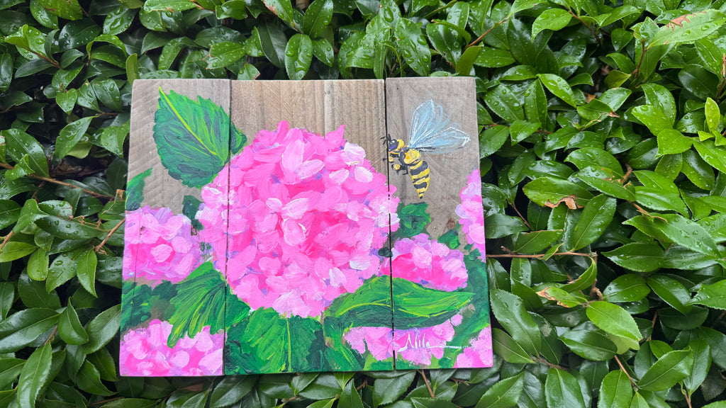 Pink Hydrangeas and Bee