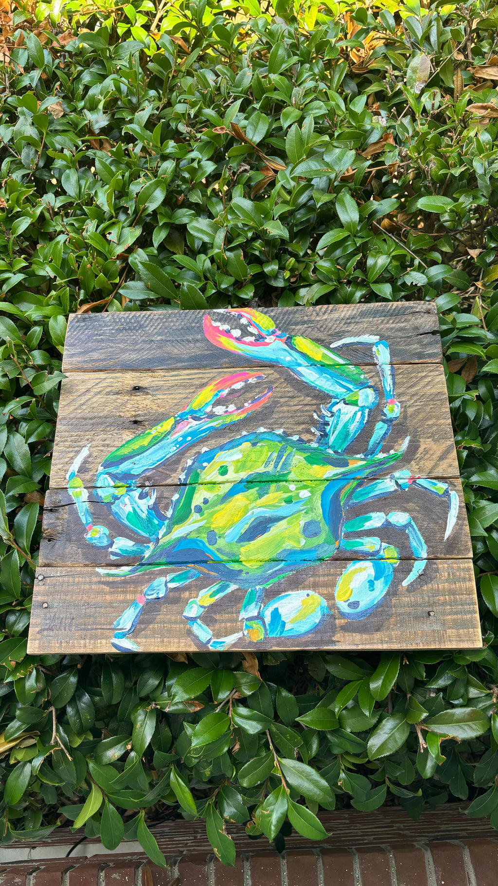 Abstract Crab on Wood