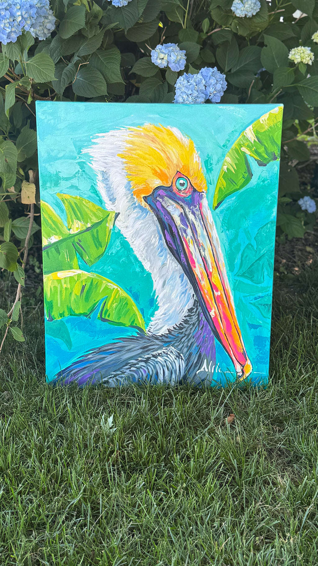 Handsome Pelican