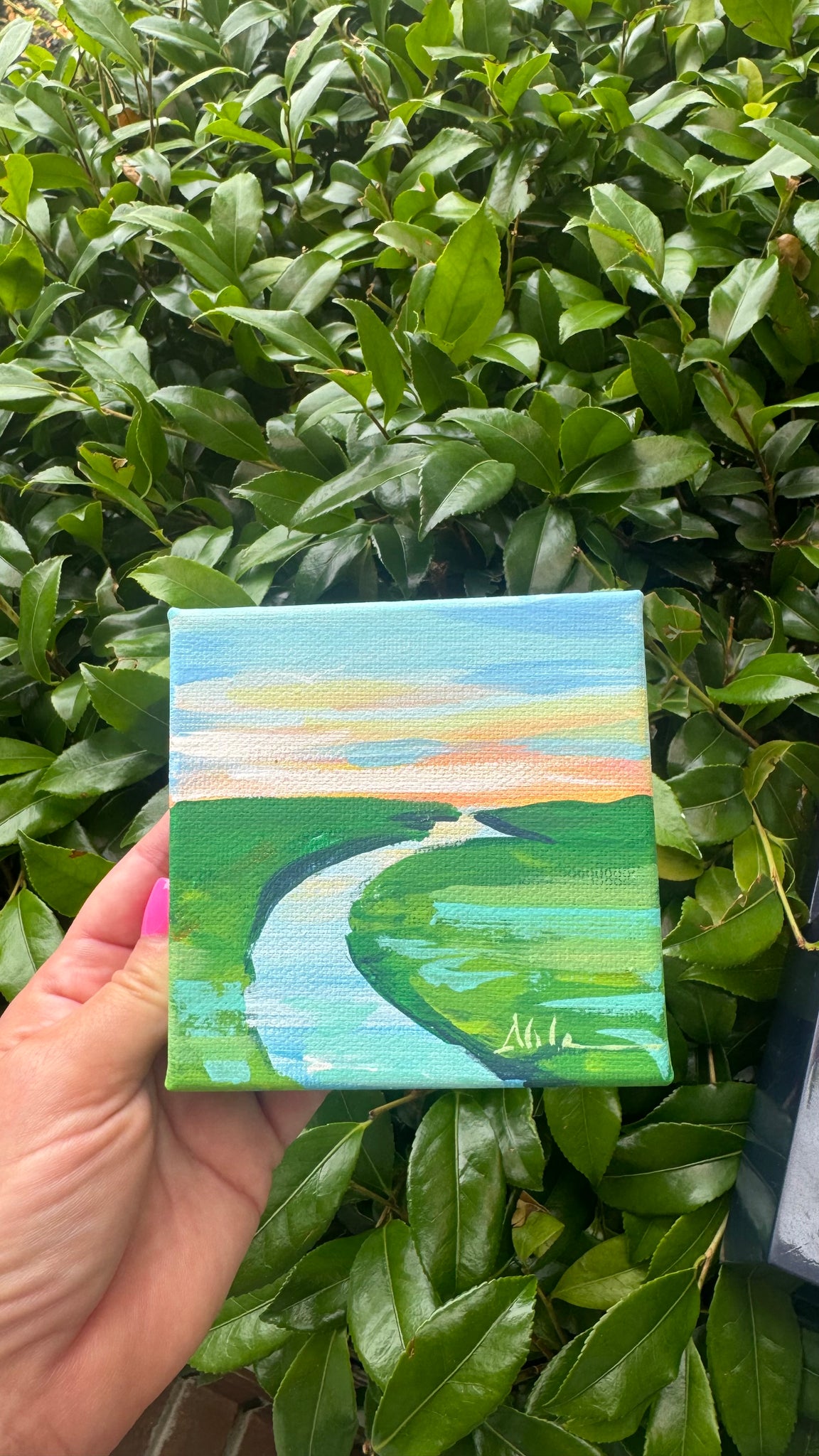 Landscape Mini Painting