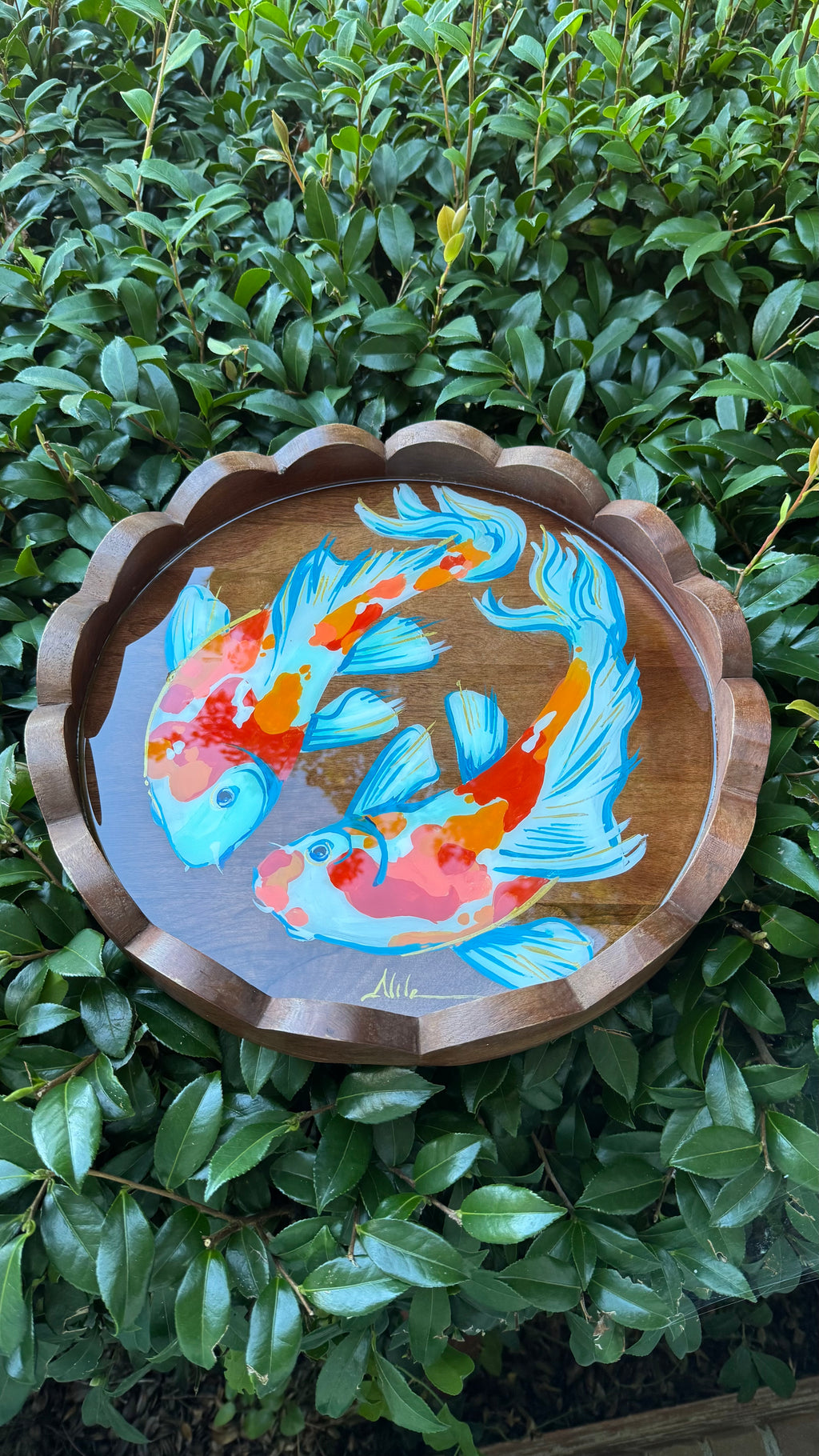 Beautiful Koi Fish Tray