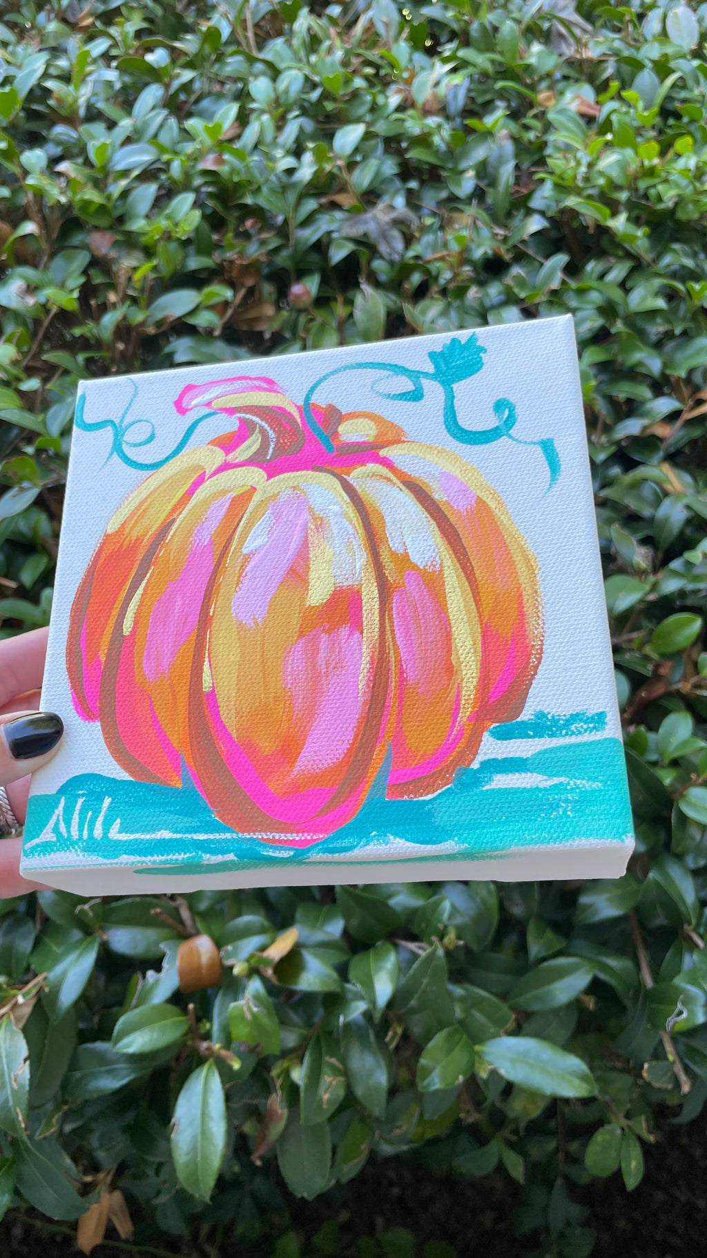 Original Pumpkin Mini