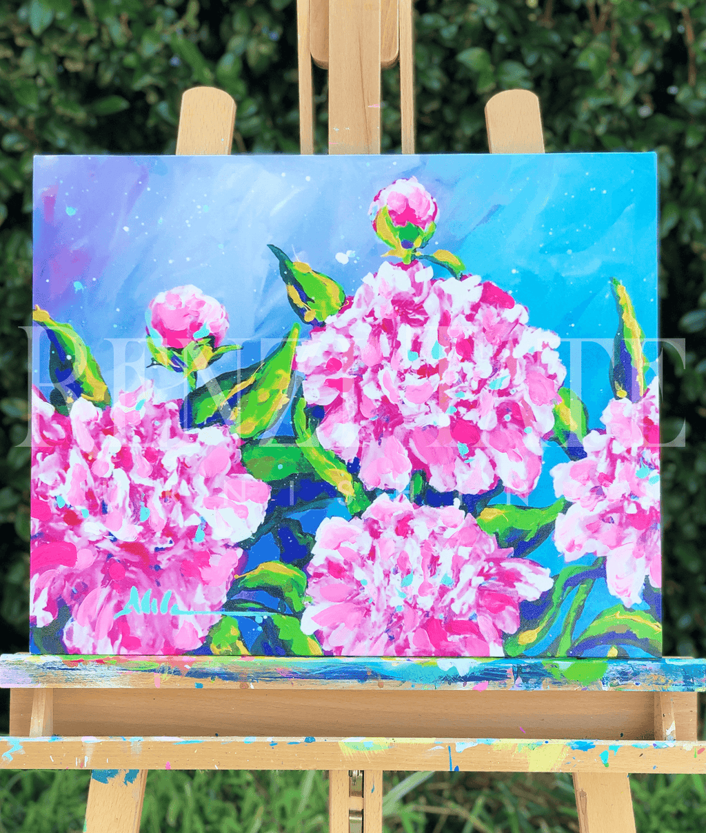 Peonies in English Garden